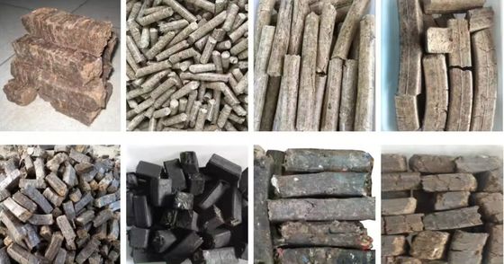 Extrudeuse de charbon de bois de déchets urbains de taille briquette de 8 à 75 mm pour la fabrication de briquettes à base de biomasse