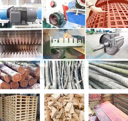 Pipeline automatique de broyeur pour broyer efficacement les bûches de bois et fabriquer de la sawdust